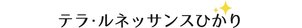 テラ・ルネッサンスひかり